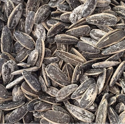 Roasted Salted Sunflower Seeds